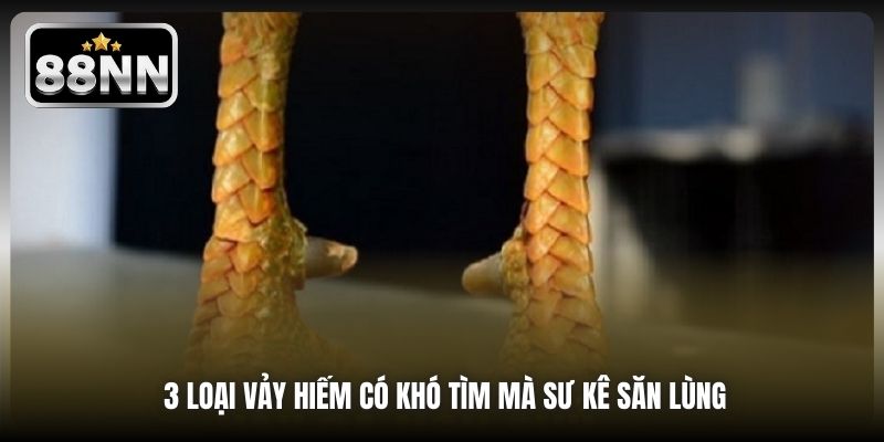 3 loại vảy hiếm có khó tìm mà sư kê săn lùng