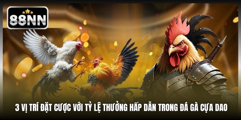 3 vị trí đặt cược với tỷ lệ thưởng hấp dẫn trong đá gà cựa dao