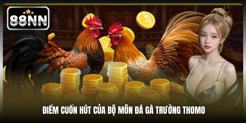 Điểm cuốn hút của bộ môn đá gà trường Thomo