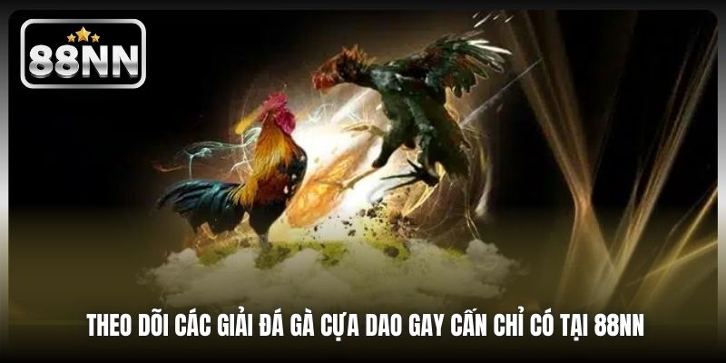 Theo dõi các giải đá gà cựa dao gay cấn chỉ có tại 88NN