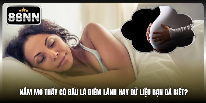 Nằm Mơ Thấy Có Bầu Là Điềm Lành Hay Dữ Liệu Bạn Đã Biết?